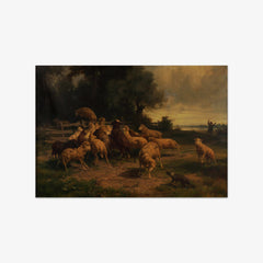 Sheep by Ernst Adolph Meissner - thumbnail_0_nf_673cdc515e0c5e198f5ec6c6