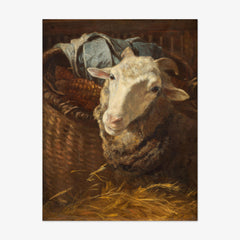 A Sheep by Anton Schrödl - thumbnail_0_nf_673cdd255e0c5e198f5ec6d7