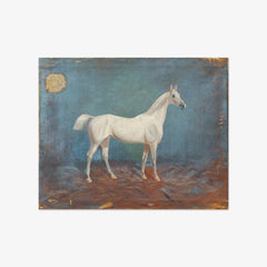 A Moldy Horse by Hema A. Groy - thumbnail_0_nf_67433afbfaa684e1cf4ba4f2