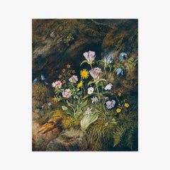 Alpine Flora by Theodor Josef Petter - thumbnail_0_nf_6743784cfaa684e1cf4ba61c