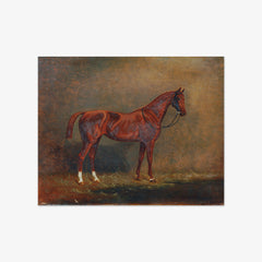 Portrait of a Riding Horse by Monogrammist A. G. - thumbnail_0_nf_674380f0faa684e1cf4ba69e