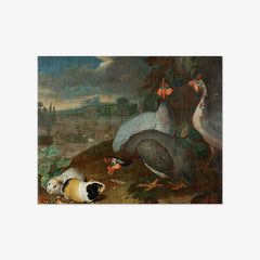 Guinea Fowl with Guinea Pigs by Philipp Ferdinand de Hamilton - thumbnail_0_nf_6744835dfaa684e1cf4ba74d
