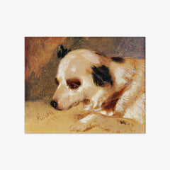 Dog's Head by Johann Matthias Ranftl - thumbnail_0_nf_674484c0faa684e1cf4ba771