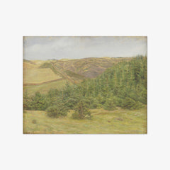 Svanninge Hills, Funen by Karl Schou - thumbnail_0_nf_67673de1b7c995d950164064