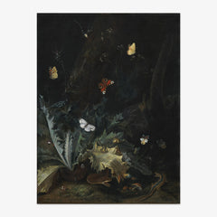 A Forest Floor with a Thistle, a Snake, a Lizard and Butterflies by Otto Marseus van Schrieck - thumbnail_0_nf_67673e5ab7c995d950164080