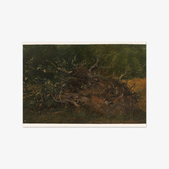 Study of a Tree Stump by Vilhelm Petersen - thumbnail_0_nf_6767404db7c995d9501640b9