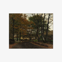 A run-up road under old trees. by Viggo Pedersen - thumbnail_0_nf_676749e3b7c995d95016412c