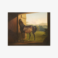 Reveller Mare by Fritz Thomsen - thumbnail_0_nf_67674f48b7c995d9501641f2