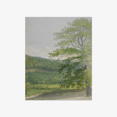 Wooded landscape by John Abbott - thumbnail_0_nf_6845ffc4489bc5bada5cf716