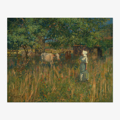 Tess by James Nairn - thumbnail_0_nf_68460382489bc5bada5cf754