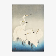 Five white egrets. by Ohara Koson - thumbnail_0_nf_68460845489bc5bada5cf78b