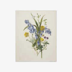 Bunch of wild flowers by Dolly Gurney - thumbnail_0_nf_6846a7c91483fa5b35558fdf