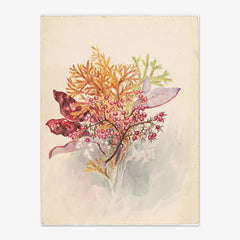 Red berries and leaves by Miss Fanny Richardson - thumbnail_0_nf_6846aa3e1483fa5b3555901c