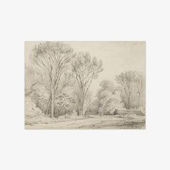 Manuka Grove on Taine's Section, Upper Hutt by William Swainson FLS FRS - thumbnail_0_nf_6846ae211483fa5b35559073