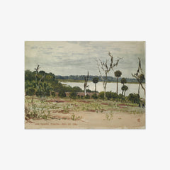 Lake Apopka, Florida by Walter Crane - thumbnail_0_nf_6846ae321483fa5b35559074