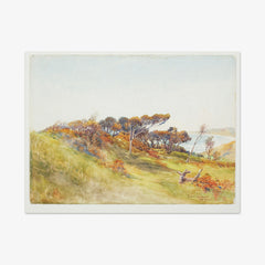 Coast near Paekakariki by Edward Barraud - thumbnail_0_nf_6846b2b01483fa5b355590d6
