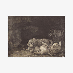Tygers at play by George Stubbs - thumbnail_0_nf_6846b3941483fa5b355590e9