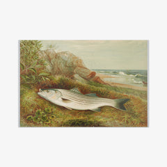 Untitled by Samuel Kilbourne - thumbnail_0_nf_6846de3c1483fa5b355591c5