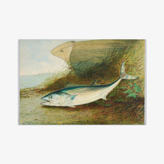 Untitled by Samuel Kilbourne - thumbnail_0_nf_6846de421483fa5b355591c6