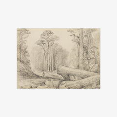 Hutt Road, round the first gorge, looking down by William Swainson FLS FRS - thumbnail_0_nf_6846e50c1483fa5b3555925d