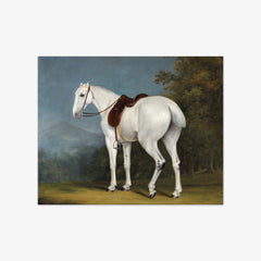 A Lady's Grey Hunter by Jacques–Laurent Agasse