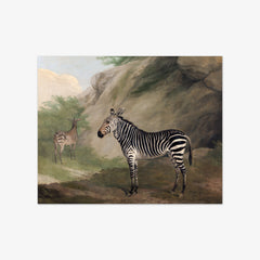 Zebra by Jacques–Laurent Agasse