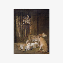 Group of Whelps Bred between a Lion and a Tigress by Jacques–Laurent Agasse