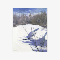 Blue Jays in Winter by Abbott Handerson Thayer