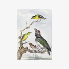 Four Different Birds on a Branch by Aert Schouman