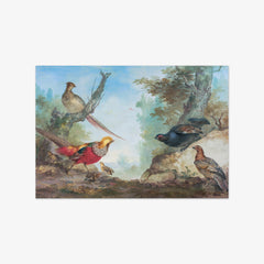 Pheasants by Aert Schouman