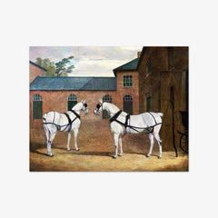 Grey carriage horses in the coachyard at Putteridge Bury, Hertfordshire by John Frederick Herring