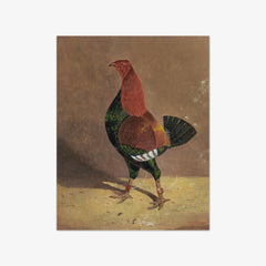 Fighting Cocks by John Frederick Herring