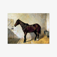 Horse by John Frederick Herring