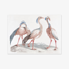 Miss Crane Birds by Johan Teyler