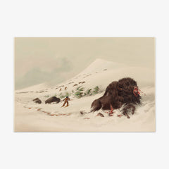Buffalo Hunt, Dying Buffalo Bull, in Snow Drift by George Catlin