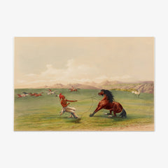 Catching the Wild Horse by George Catlin