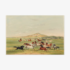 Wild Horses at Play by George Catlin
