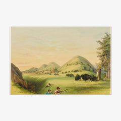 Buffalo Hunt, Approaching in a Ravine by George Catlin