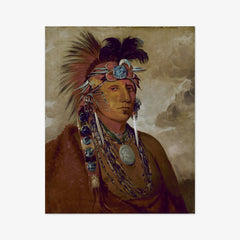 Shó-me-kós-see, The Wolf, a Chief by George Catlin