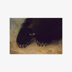 Weapons and Physiognomy of the Grizzly Bear by George Catlin