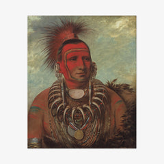 Shon-ta-yi-ga, Little Wolf, a Famous Warrior by George Catlin