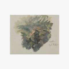A Study of Ferns, Civitella by Edward Lear