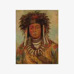 Boy Chief - Ojibbeway by George Catlin