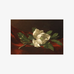 Magnolia by Martin Johnson Heade