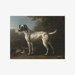 A Grey Spotted Hound by John Wootton