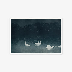 The Swans by Francis Jourdain