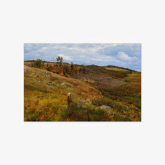 Lowland Cottage by Niels Skovgaard