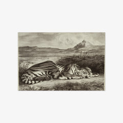 Royal Tiger by Eugène Delacroix