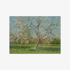 Study of Blooming Trees in an Orchard by László Mednyánszky