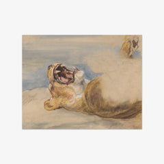 Study of a Lioness by John Frederick Lewis